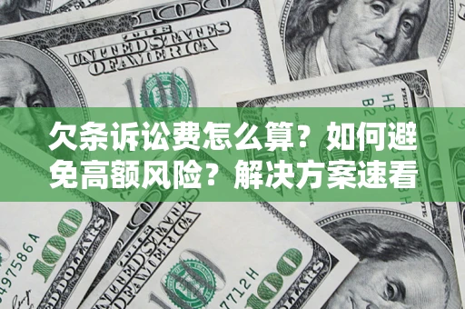 北京欠条诉讼费怎么算？如何避免高额风险？解决方案速看！
