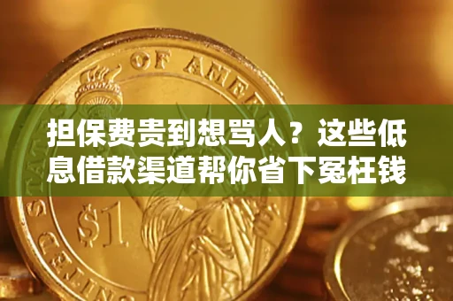 北京担保费贵到想骂人？这些低息借款渠道帮你省下冤枉钱