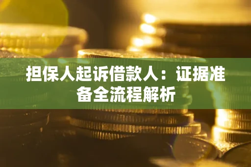 北京担保人起诉借款人：证据准备全流程解析